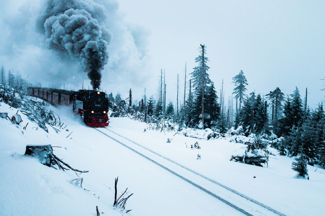 Harz